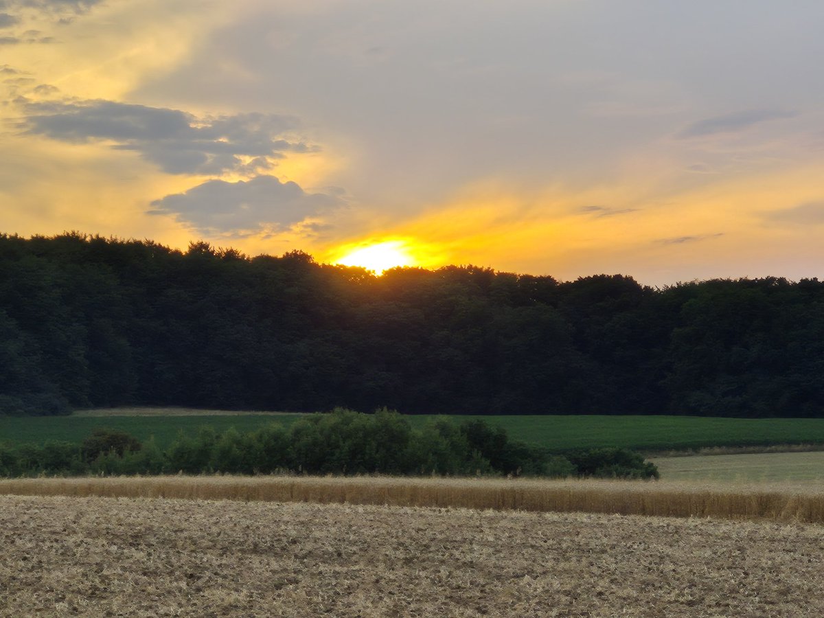 Tabbymarquis's tweet photo. #ownphotography #sunset 🌄 https://t.co/rtDiKz7Rn6