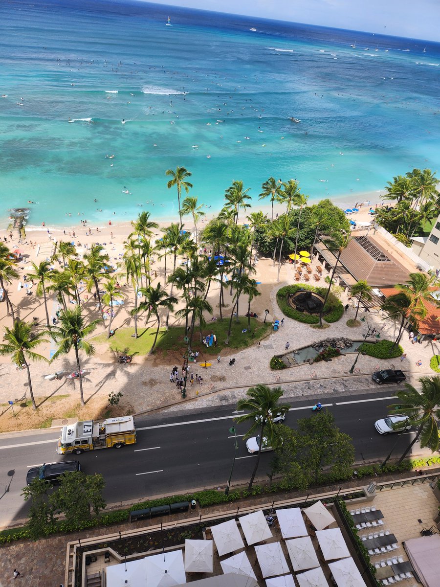 하와이에 한국사람 많네요 ~ 하와이에계신 트윗 하시는 분 연락주세요.