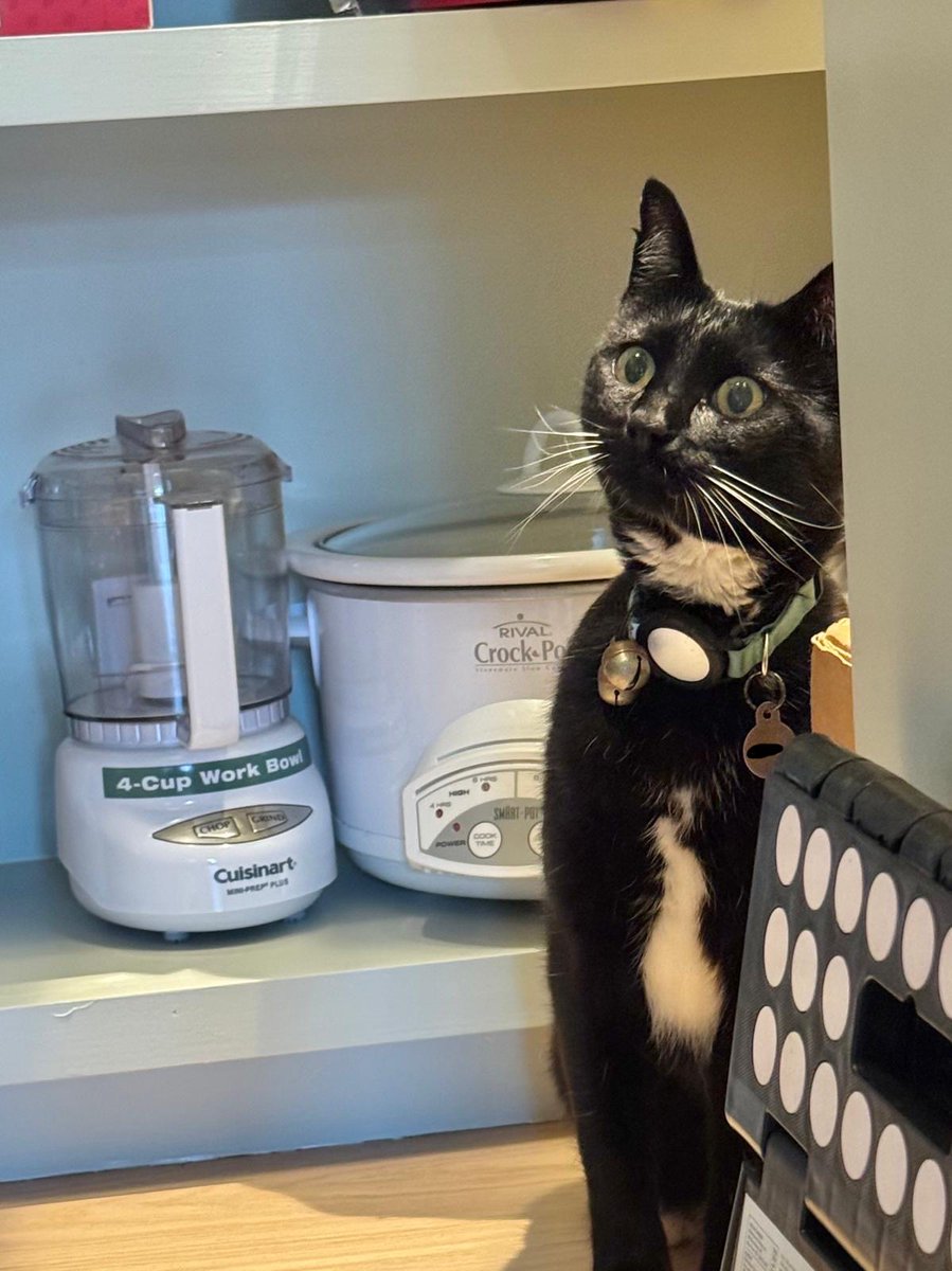 thespy_harriet's tweet image. who are you calling a crock pot