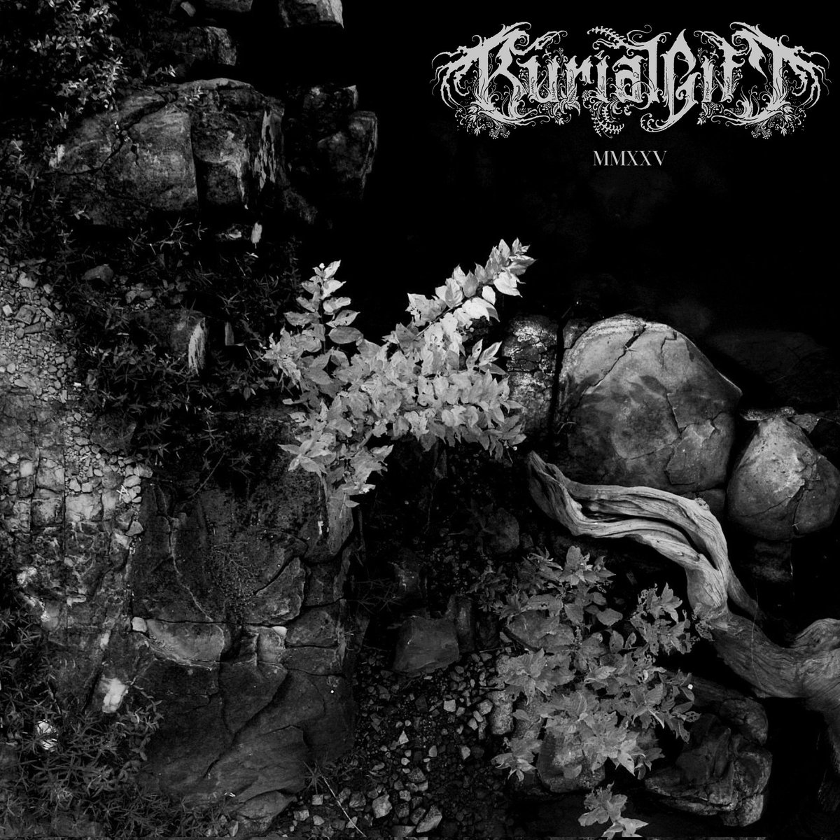 majinboudin's tweet photo. First Burial Gift single "Sear" is now live on bandcamp. Full demo releasing in steaming platforms Friday 7/25. Please click and be Fvlse

https://t.co/FhO4lDbIZz https://t.co/cKLrLfoUz2