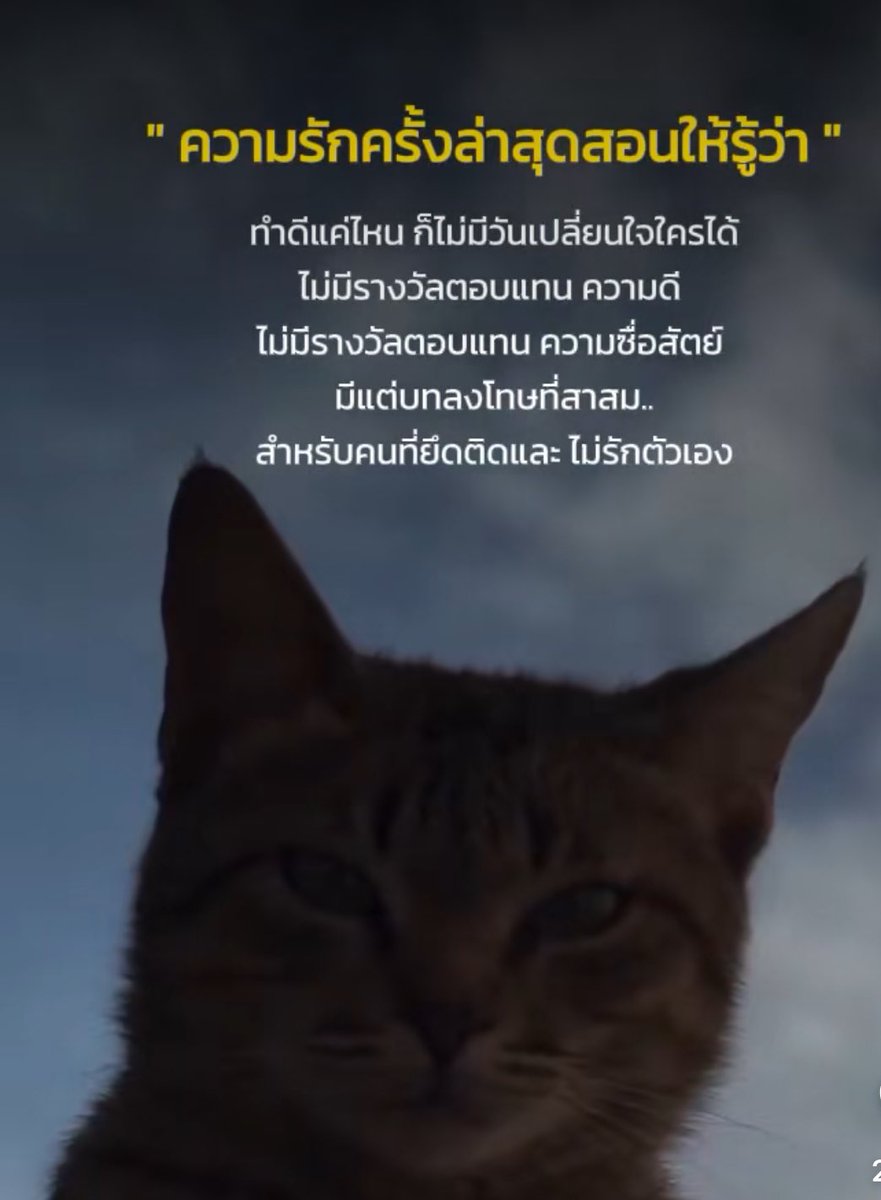 SingupX69's tweet photo. มัน ก็ จริง https://t.co/RoT2PQRDwj