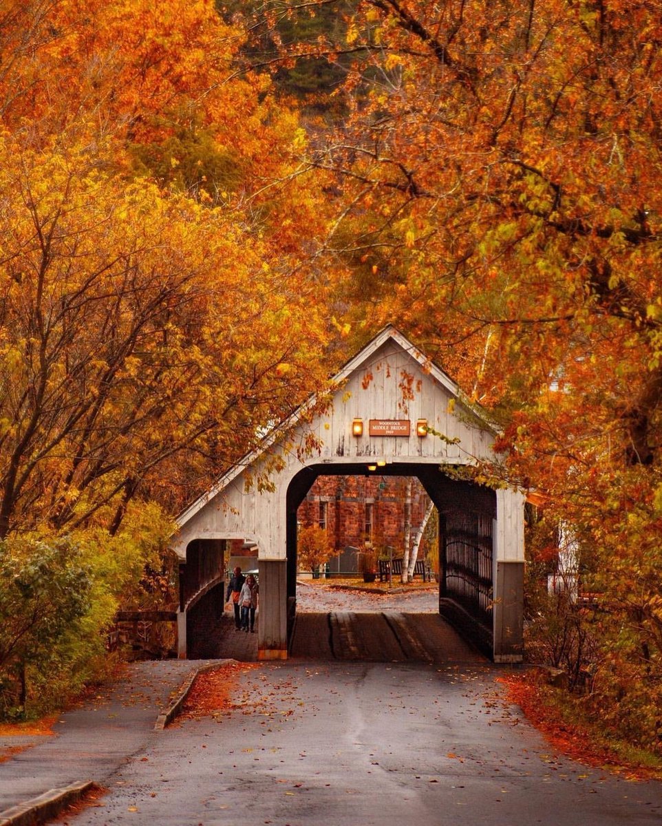 visualtherapy0's tweet image. fall weather is about to bring out the happiest version of me