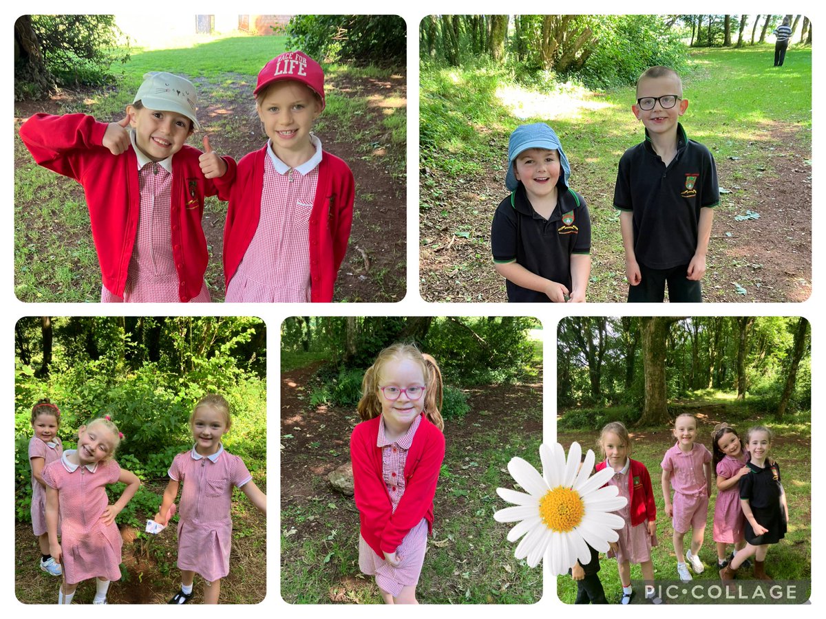 Lleucu Llwynog (@lleucullwynog) on Twitter photo Diwedd perffaith i ddathlu Lleucu/ The perfect way to celebrate the end of a year with Lleucu Llwynog! Picnic treats and fun in the forest 💕<a href="/YsgolLlanhari/">Ysgol Llanhari</a> Diwedd perffaith i ddathlu Lleucu/ The perfect way to celebrate the end of a year with Lleucu Llwynog! Picnic treats and fun in the forest 💕<a href="/YsgolLlanhari/">Ysgol Llanhari</a>