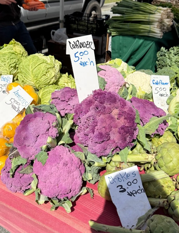 WisdomSeeker225's tweet image. Saturday moments in San Mateo 🌿
Picked up some fresh blueberries from a Mexican street vendor, and found this special purple broccoli too. Little surprises like this make the day feel extra nice