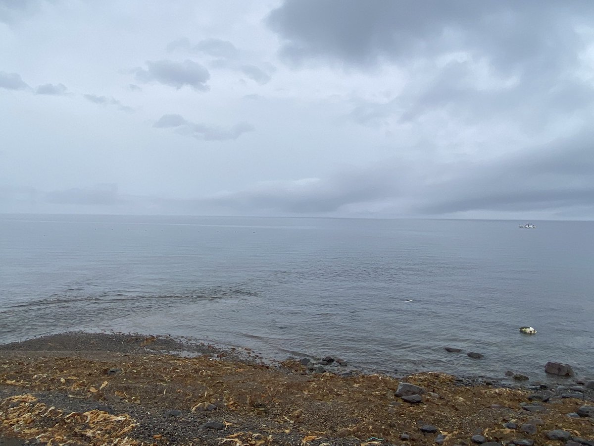 rusafieldhouse's tweet image. 連休真ん中の本日いかがお過ごしですか?ルサはまだ時折雨がパラつきますが、夏らしい色合いの海山が広がっています。日頃の慌しさをしばし忘れ、ゆっくりした時間を過ごしにお越しください。