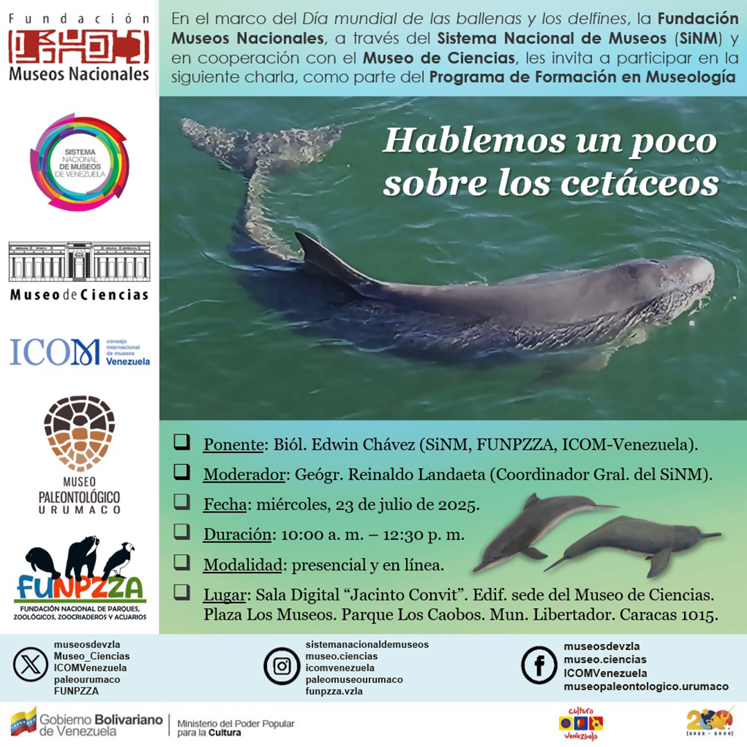 museosdevzla's tweet image. La @fundacionmuseos Nacionales, a través del #SiNM y el @Museo_ciencias, les ofrece esta interesante charla sobre los cetáceos este #23julio. Podrás registrarte en el siguiente enlace n9.cl/5gv9i. Mas información en n9.cl/5g4p4 ¡te esperamos!