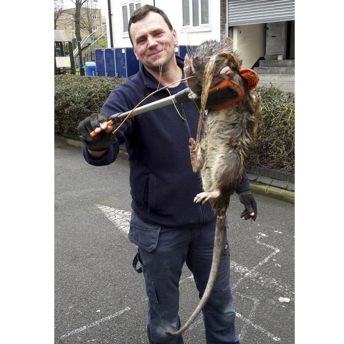 #YoureGonnaNeedA bigger cat