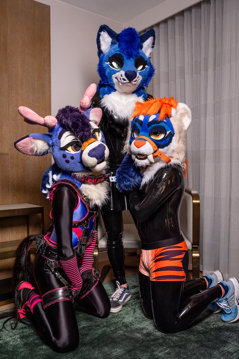 Takio_Saber's tweet image. Happy #SqueakySaturday :3 come be shiny with me
🦌: @Bungee_bucc
🐺: @FirraWoof
📸: @gryphonfluff