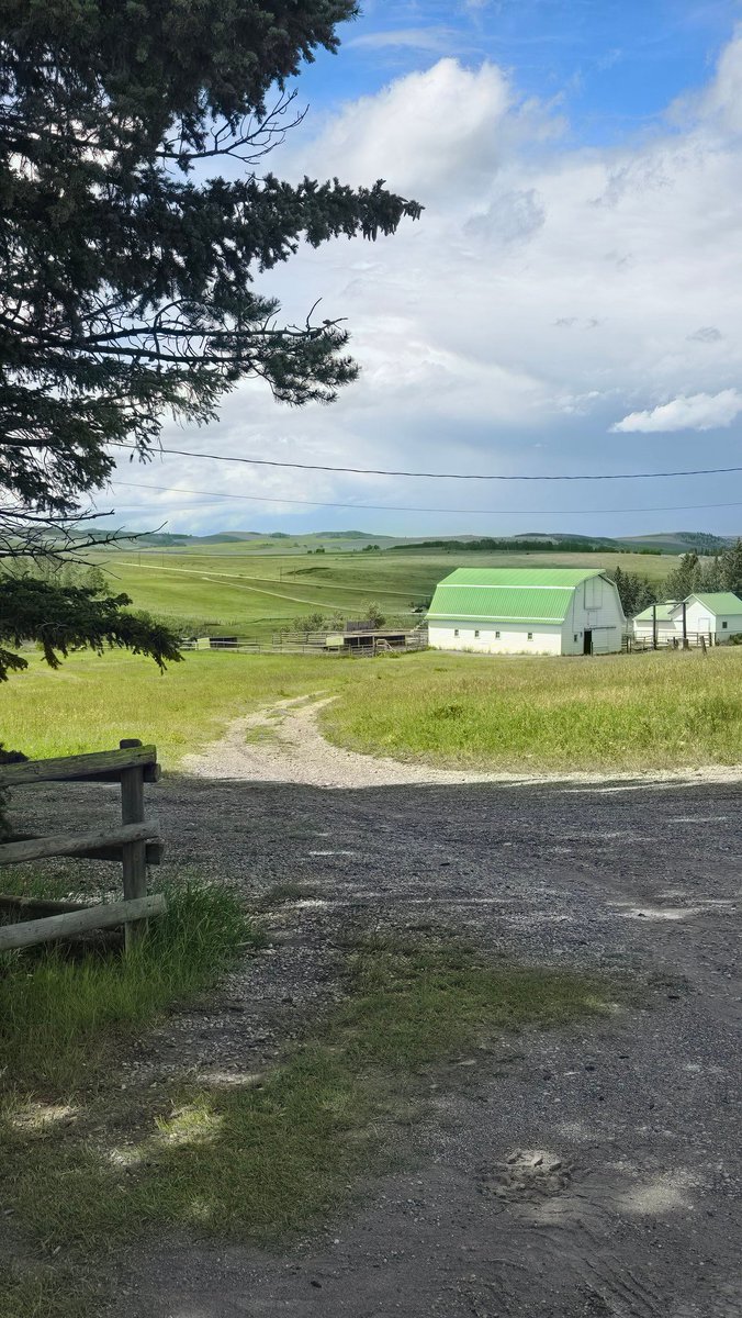 nftranching's tweet image. Is it just me, or does anyone else prefer being outside on weekends untill they realize their engagement is down 🐑