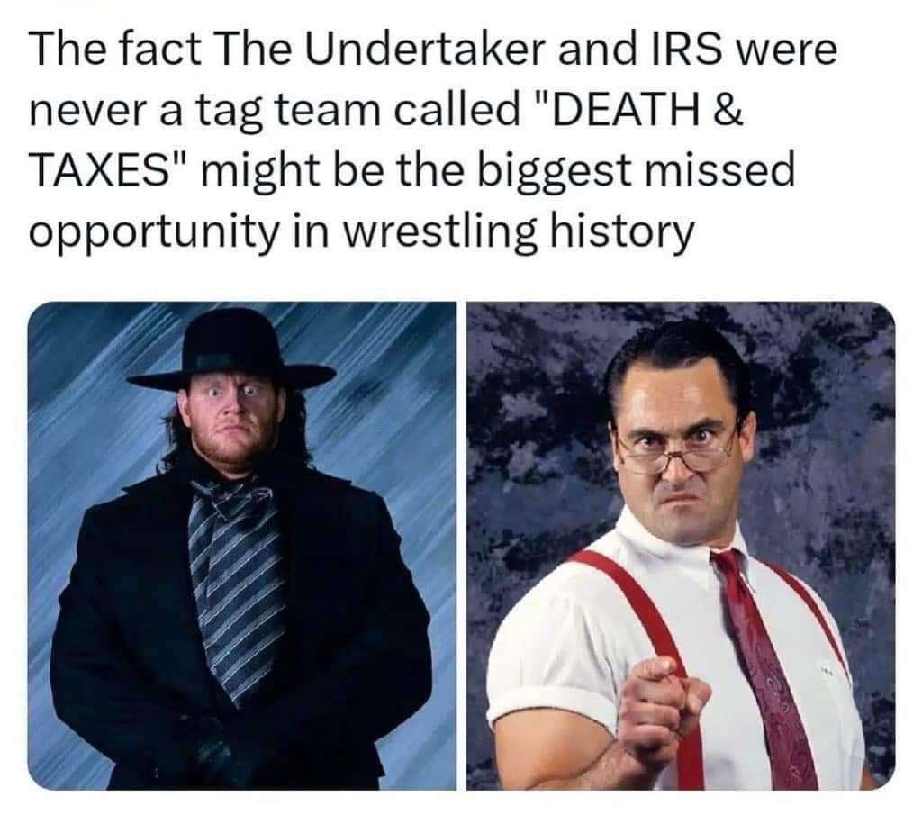 Schrödinger's Raccoon 🦖 (@elfsraccoon) on Twitter photo 