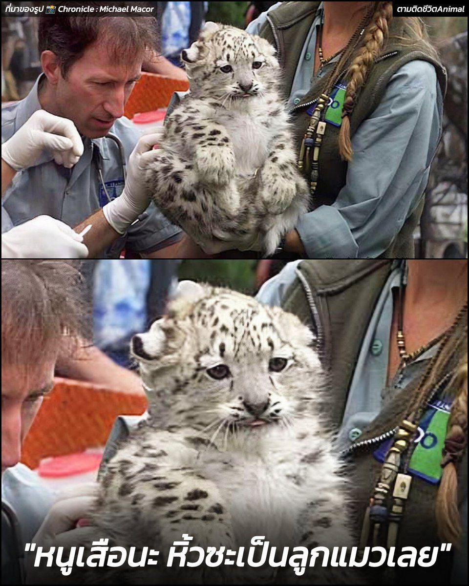 ตามติดชีวิตAnimal tweet media