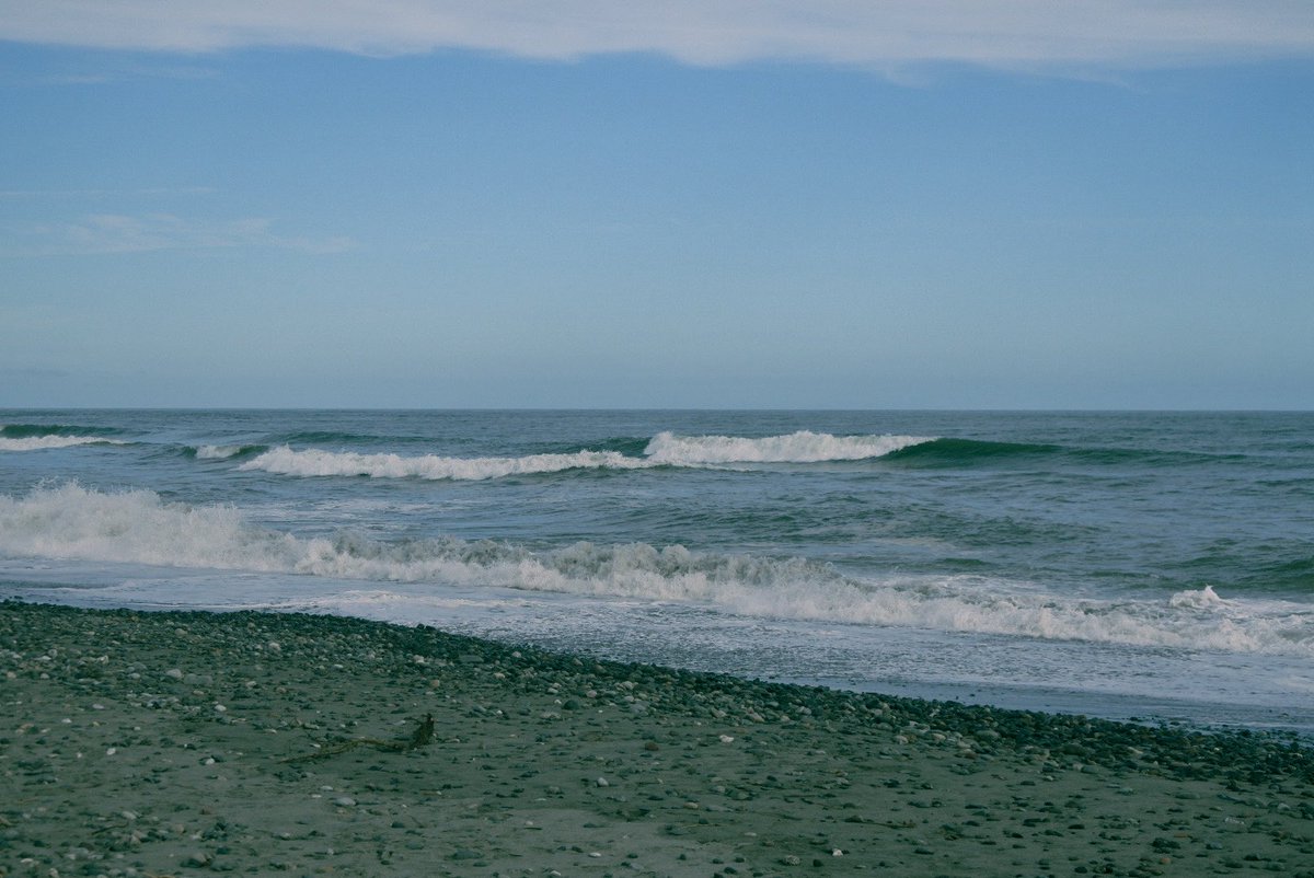 _fhch's tweet image. summer time
