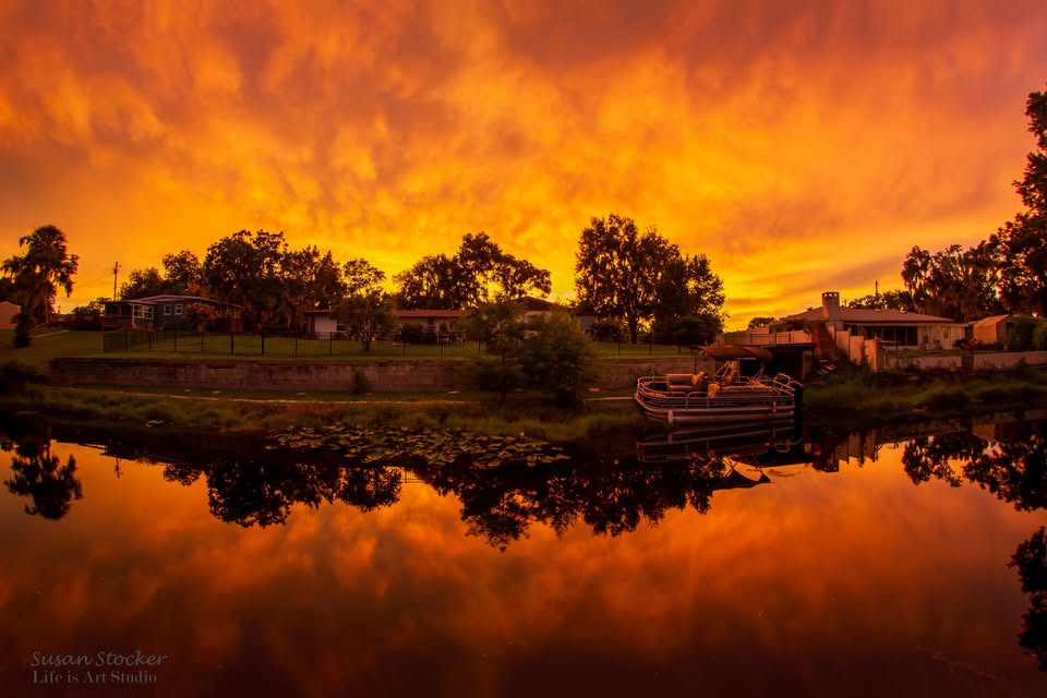 Inverness on fire!
📷 Susan Stocker #Florida #sunset