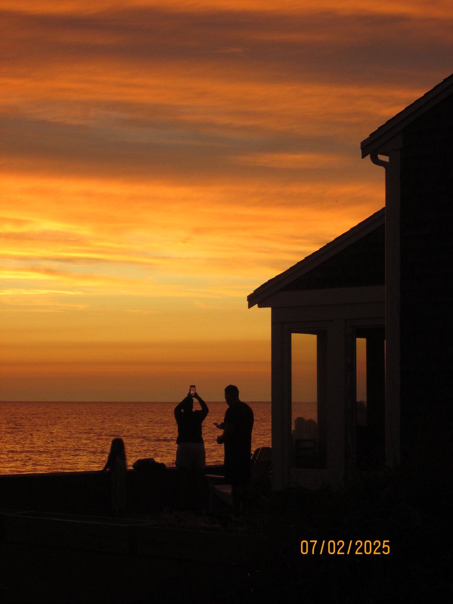 _muddypaws_'s tweet image. beach dayz