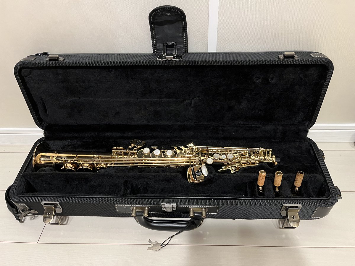ヤナギサワのソプラノサックス🎷
メルカリよりだいぶ安いから買って！

S-WO20本体 + SW2C-GP(ブロンズに金メッキ)
セットで43万

大阪市内手渡し→その場で銀行振込などでやり取り希望です。試奏もできます！
写真なんぼでも撮ります📸