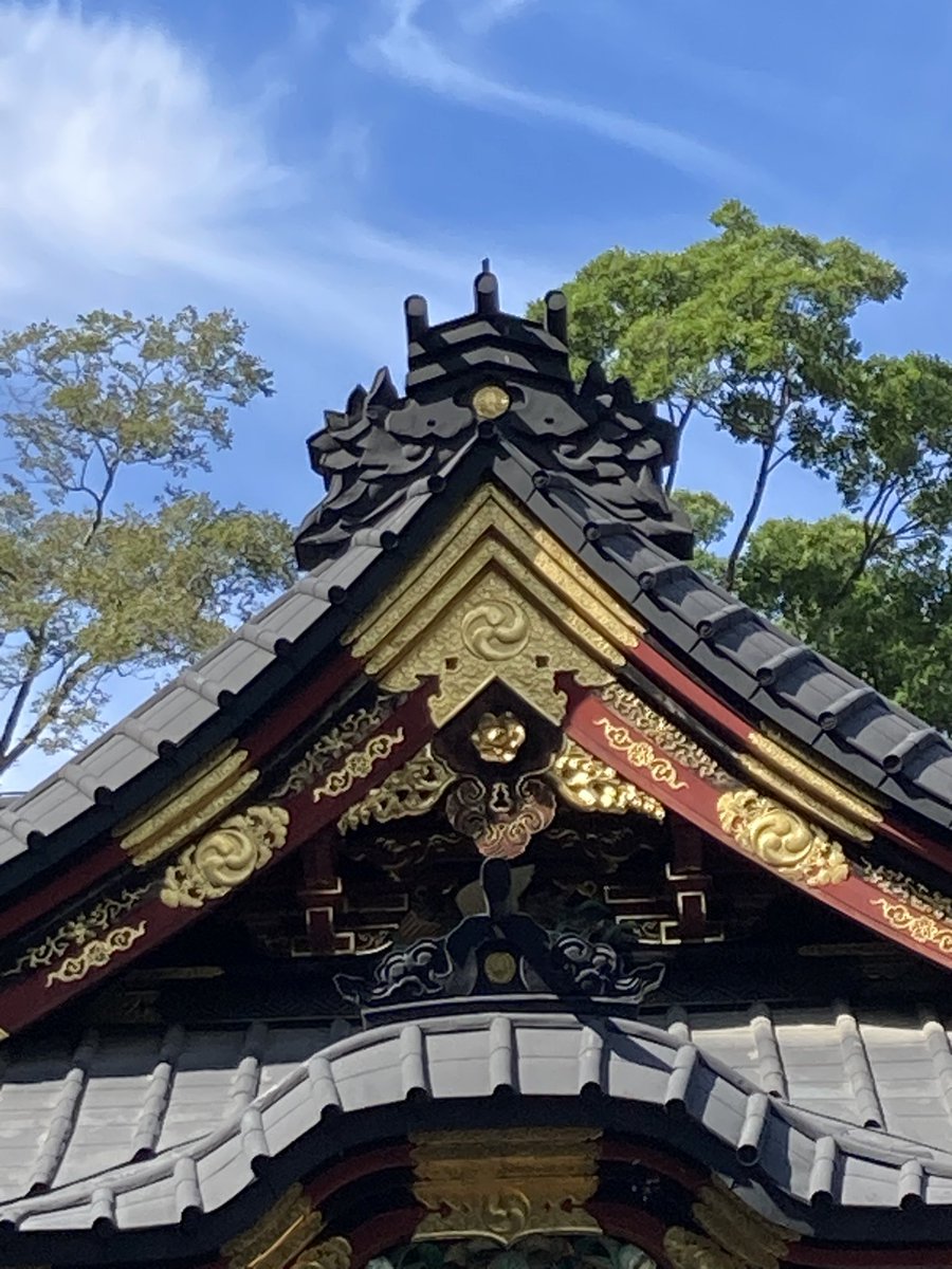 zunko1116's tweet photo. 歓喜院聖天堂にも行ってきたよ
さすが国宝
素敵でした❤️ https://t.co/xGFrQvMGwV