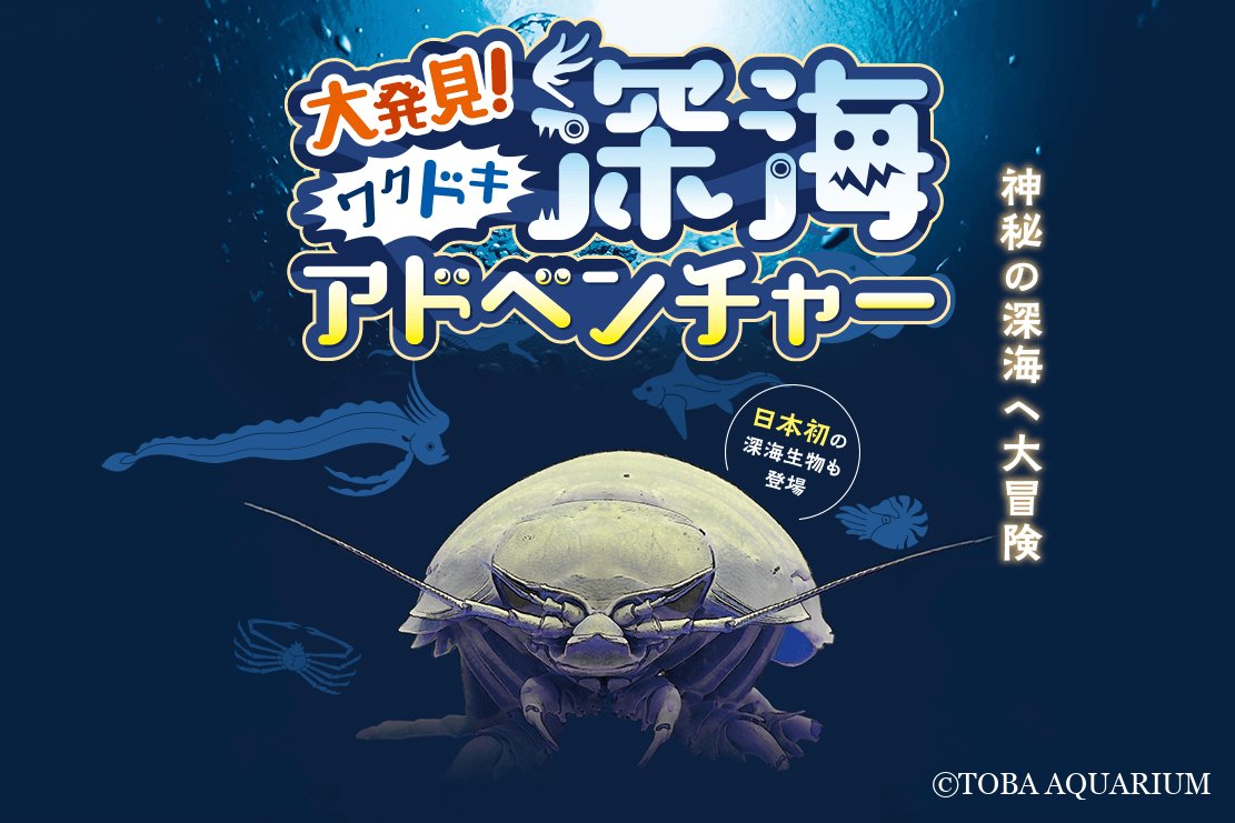 TOBA_AQUARIUM's tweet image. 日本初展示!タイワンダイオウグソクムシ: 昨日より夏の企画展「大発見!ワクドキ深海アドベンチャー ~熊野灘から見る深世界~」が始まりました! 連日準備作業に追われていたので、始ったばかりなのに「やり切った感」がハンパないですが、気持ちを切り替えて11月3日まで走 dlvr.it/TM15rH