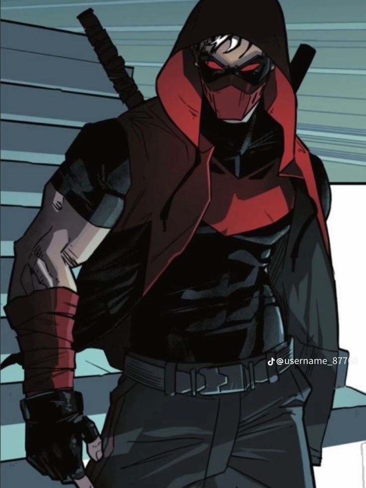 0arionTodd's tweet image. i would die defending him #dccomics #RedHood