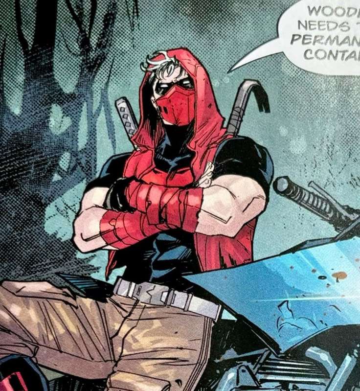 0arionTodd's tweet image. i would die defending him #dccomics #RedHood