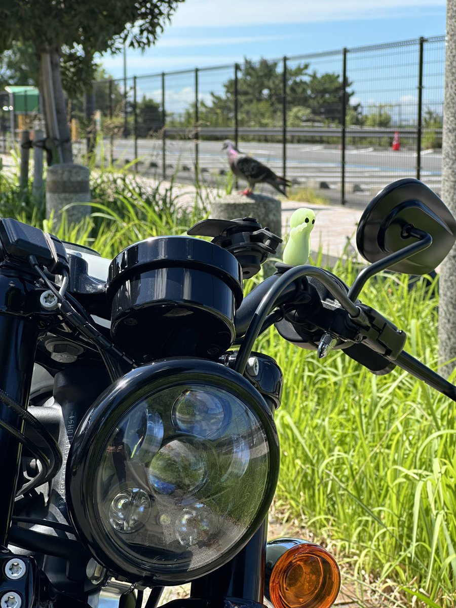 あー、暑かった😩

🕊️