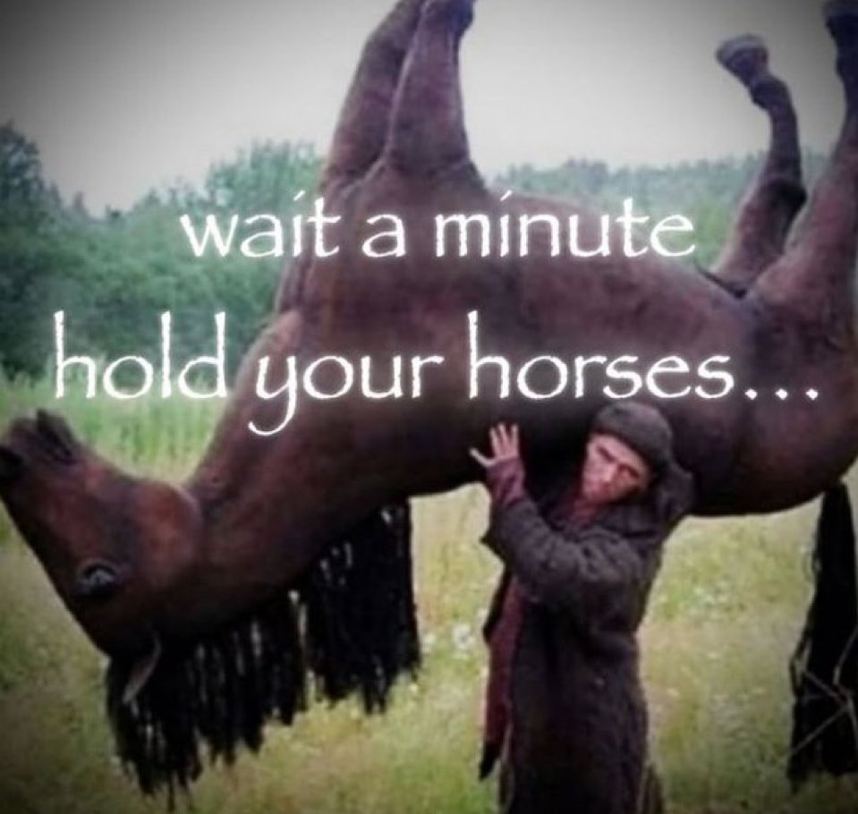 horsetwting's tweet image. most liked image of a horse in the replies will be the pfp of this account
