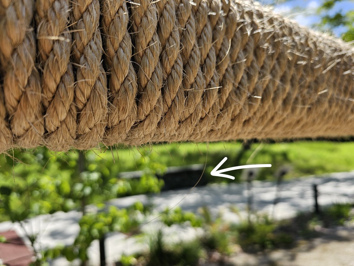 moriokazoo's tweet image. Amazonほしい物リストより複数の麻紐を購入していただきました!着々とポニーの放飼場外柵に麻紐を巻いています。時々毛がくっついていますので、巻いた麻紐は柵の保護以外にもポニー達のブラシとしての役割も果たしています。ご支援をありがとうございます!
リストはこちら
amazon.co.jp/hz/wishlist/ls…