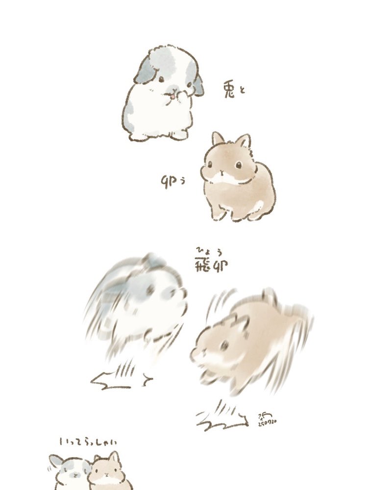 taiga15's tweet image. 部屋んぽに飛び出すうさぎさんのようにシャッと行き、夜はうさぎさんをなでながら開票速報を見るよ