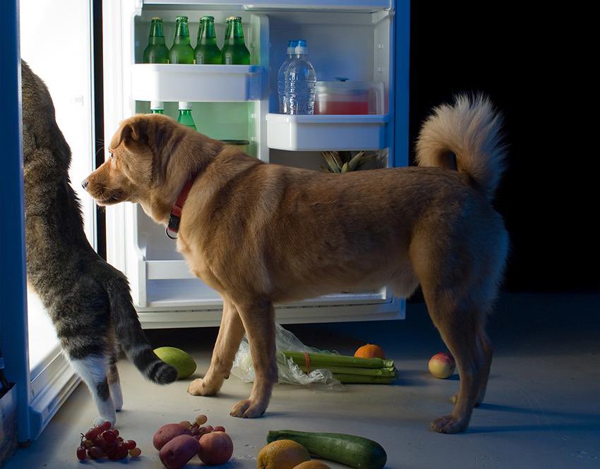 AgathaChocolats's tweet image. In six words or fewer, write a story about this photo.
#sixwordstory #WritingCommunity
