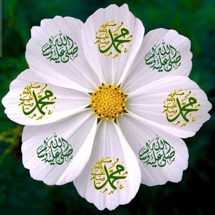 اَلسَلامُ عَلَيْكُم وَرَحْمَةُ اَللهِ وَبَرَكاتُهُ🌹
🌼صبح بخیر زندگی🌼
#دل_کی_آواز
#قومی_زبان
🌼ﷺ🌼ﷺ🌼ﷺ🌼ﷺ🌼
