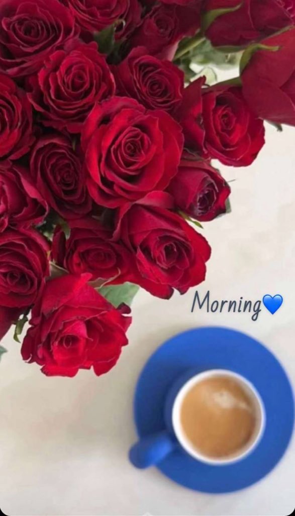 422E's tweet image. .

  اللحظات الغير مخطط لها دائماً ما تكون هي الأجمل ، لأننا نعيشها دون توقعات ٠٠

.

             #صباح_الخير_والسعاده 🫧