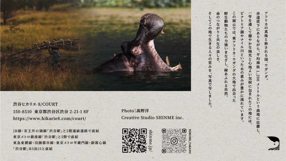 hikarie8's tweet image. 【8/7-10】🫎🌳📸
写真展 Breathing ‒ Landscapes of Life in Uganda
― アフリカの真珠 ウガンダで生命を探訪する
11:00 - 19:00※最終日は15:00まで
渋谷ヒカリエ8/COURT入場無料
株式会社SHINME info@shinme.jp
hikarie8.com/court/2025/07/…