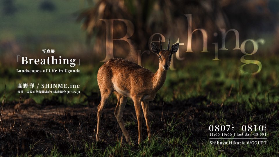 hikarie8's tweet image. 【8/7-10】🫎🌳📸
写真展 Breathing ‒ Landscapes of Life in Uganda
― アフリカの真珠 ウガンダで生命を探訪する
11:00 - 19:00※最終日は15:00まで
渋谷ヒカリエ8/COURT入場無料
株式会社SHINME info@shinme.jp
hikarie8.com/court/2025/07/…