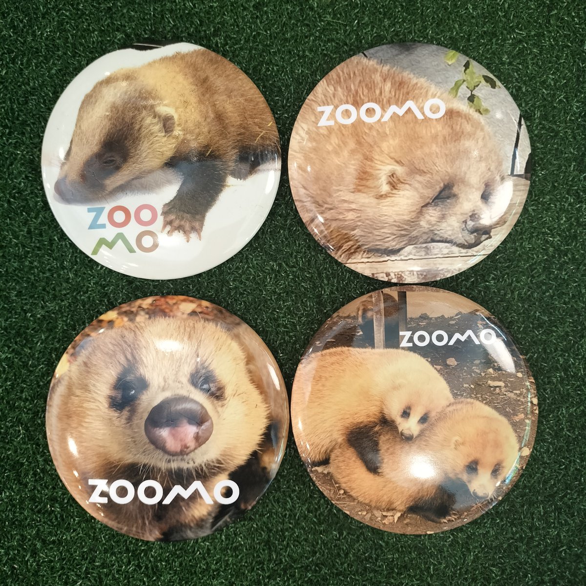 moriokazoo's tweet image. オンラインショップよりお知らせです♪
店頭で先行販売してした、ZOOMO特製!ニホンアナグマオリジナルグッズが2025年7月25日(金)20:00より販売開始!
普段使いしやすい、文具やポーチ!おすすめは、ビッグサイズの缶バッジセット!オンライン限定の種類有!
moriokazoo.stores.jp