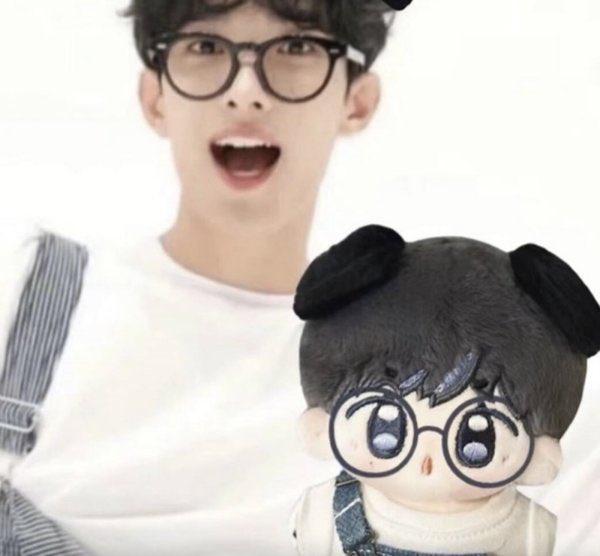 SEVENTEEN DK ドギョム ぬいぐるみ 10cm 20cm ドール SEVENTEEN DK ドギョム ぬい 10cm 20cm ドール