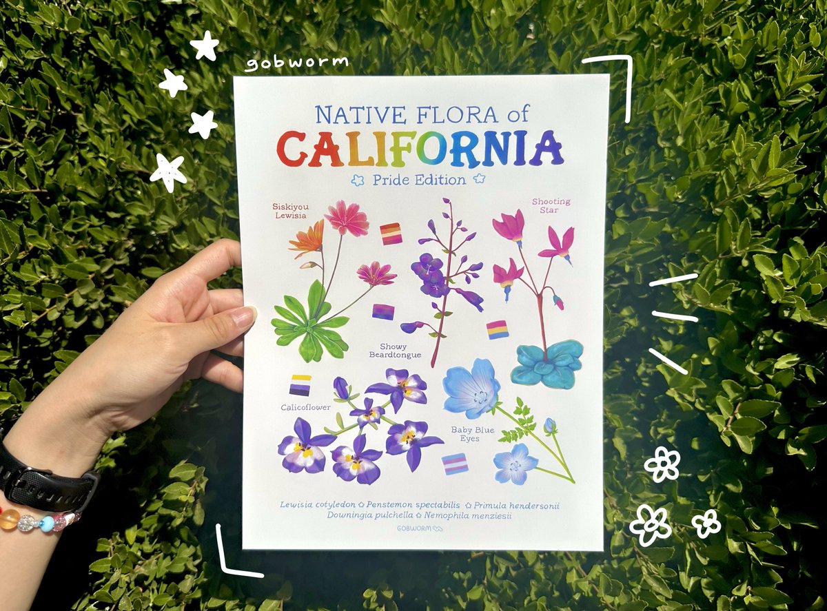 gobwormshop's tweet image. new prints of pride-themed california native flowers!! 🌸🌷🌼