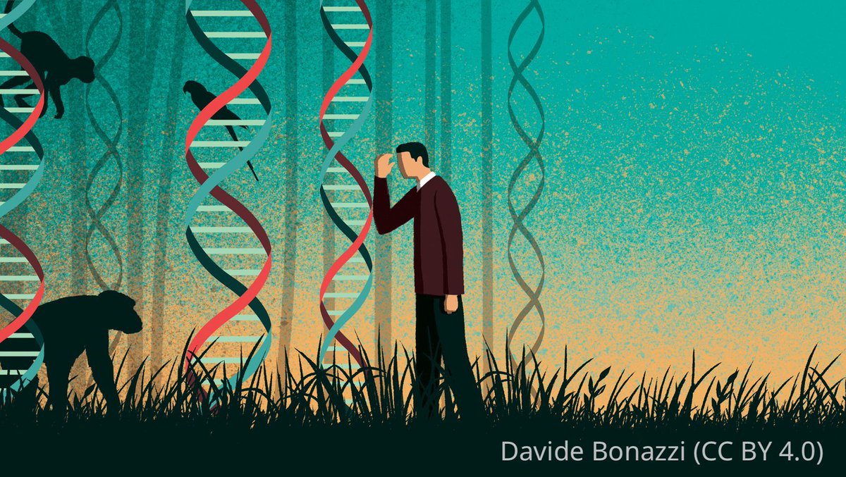 eLife's tweet image. Kin selection has sparked debate for decades.
Now, a landmark study offers a generalised version of Hamilton’s rule, capturing the messy, nonlinear reality of evolution and cooperation.
Explained in our latest Insight Article: elifesciences.org/articles/10803…
#EvoBio #Evolution