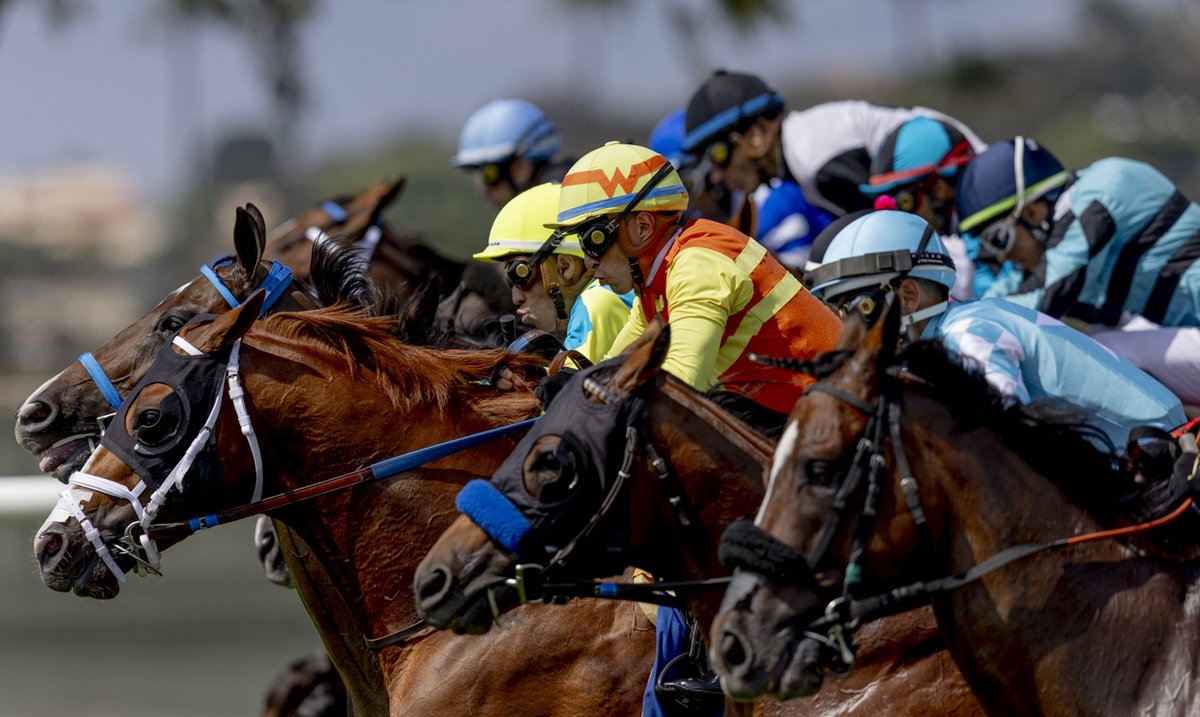One of my favorite images from <a href="/DelMarRacing/">Del Mar Racetrack</a> yesterday.