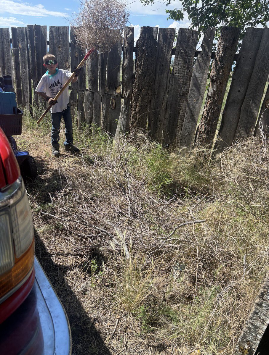 Not many kids sign up from NM, but when they do, they are kids like action Jackson , not afraid of hard work. Jackson of Edgewood NM who is taking part in our 50 yard challenge helped out with a yard recently .
