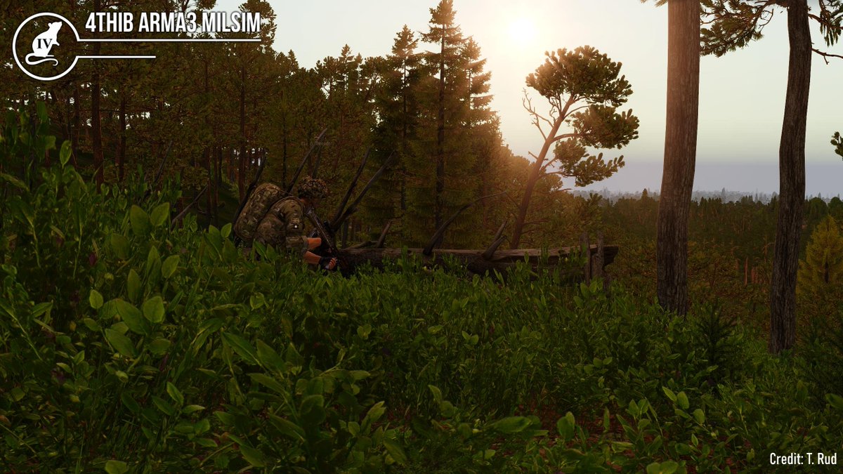 Members of Burma Company await orders to commence their attack.

Did you know? Each company has a Fire Support Group (FSG) that provides Mortar, Heavy AT,  AA Capabilities, and Static Machine Gun Support.

Get Involved: 4thib.co.uk/joinus.php

#Arma3 #Milsim #ArmaPlatform