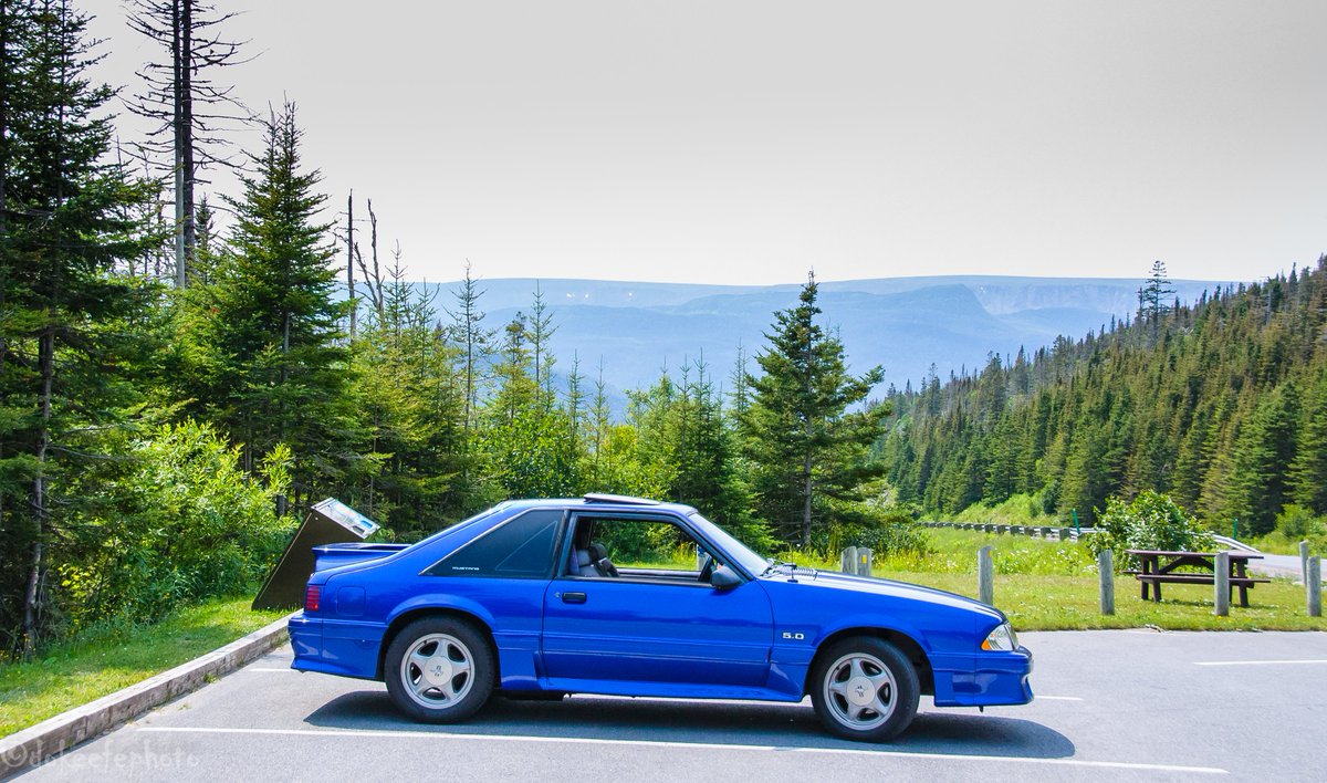 DonnieOK's tweet image. Probably my most favorite spot on this island - #GrosMorne #FoxBodyMustang #FoxBody #MustangGT #Ford #ClassicCars #Newfoundland #ExploreNL great day for a drive.