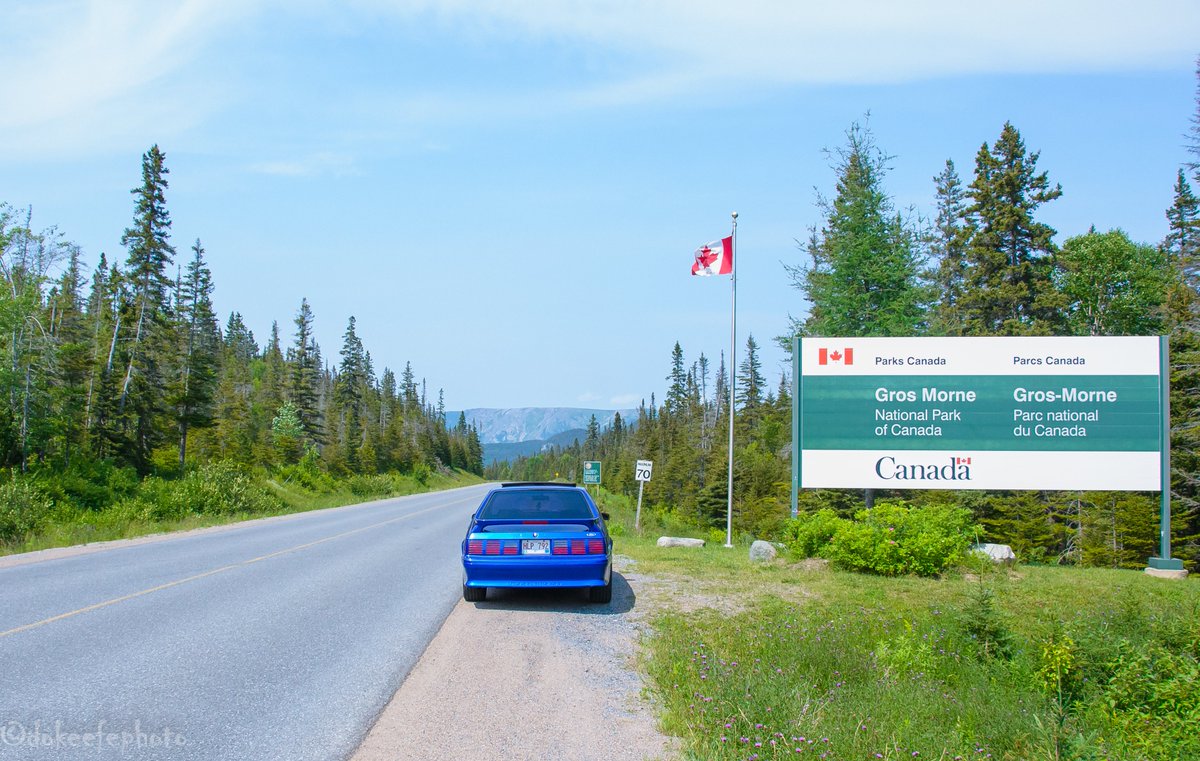 DonnieOK's tweet image. Probably my most favorite spot on this island - #GrosMorne #FoxBodyMustang #FoxBody #MustangGT #Ford #ClassicCars #Newfoundland #ExploreNL great day for a drive.