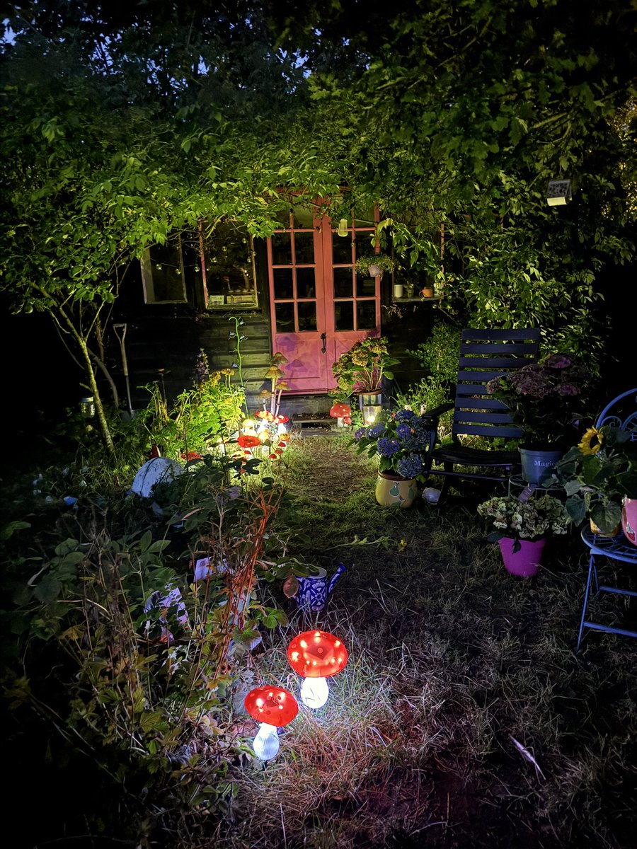 excusemereading's tweet image. I’m so excited about my new solar lights 😂