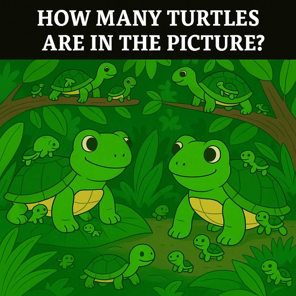 How many turtles? 🤔
