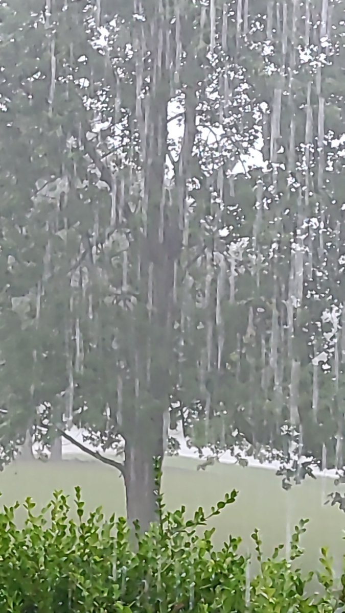 Steve Bricher tweet media