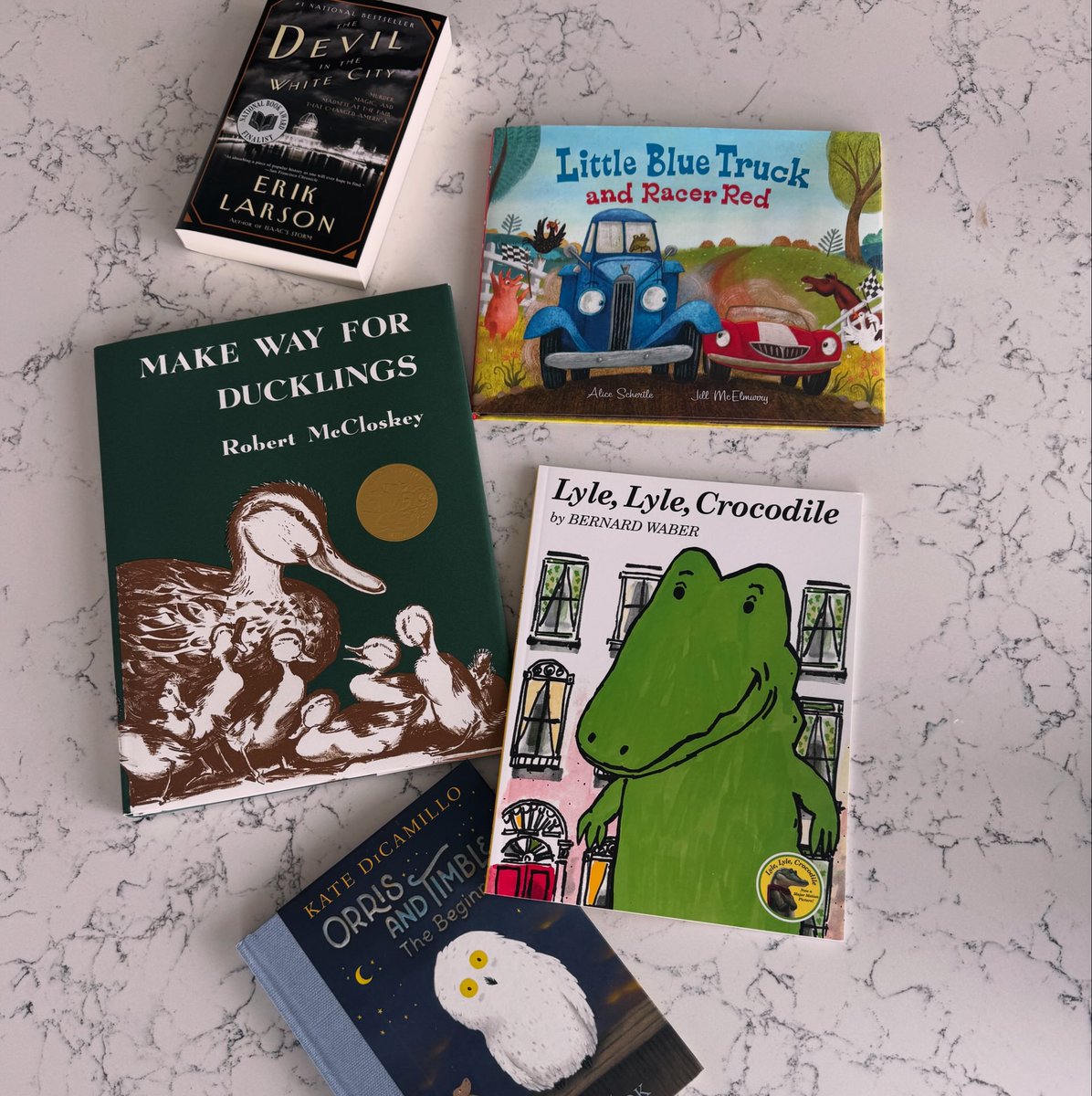 NancyAFrench's tweet image. Today’s haul from @sandmeyersbooks ! Which should I read first?