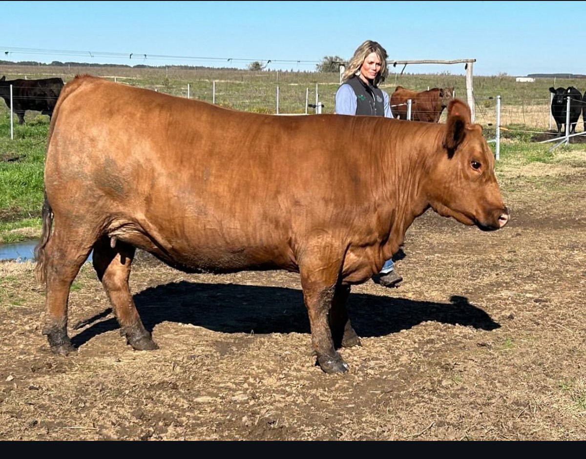 FDGenetics's tweet image. ❤️❤️❤️