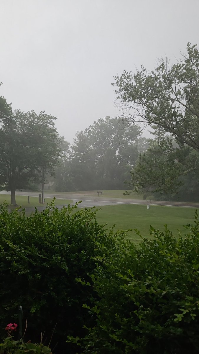 Steve Bricher tweet media