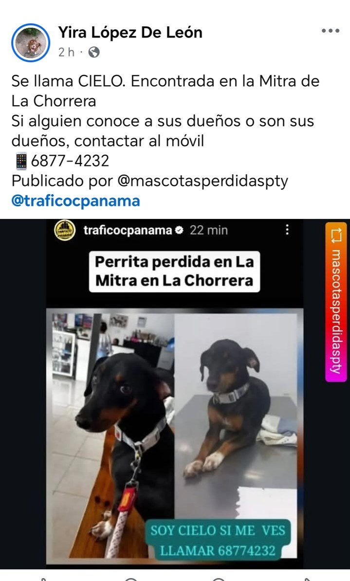 AYUDEMOS A CIELO
FAVOR COMPARTIR ESTE MENSAJE!!!🙏🏽🙏🏽🙏🏽🙏🏽