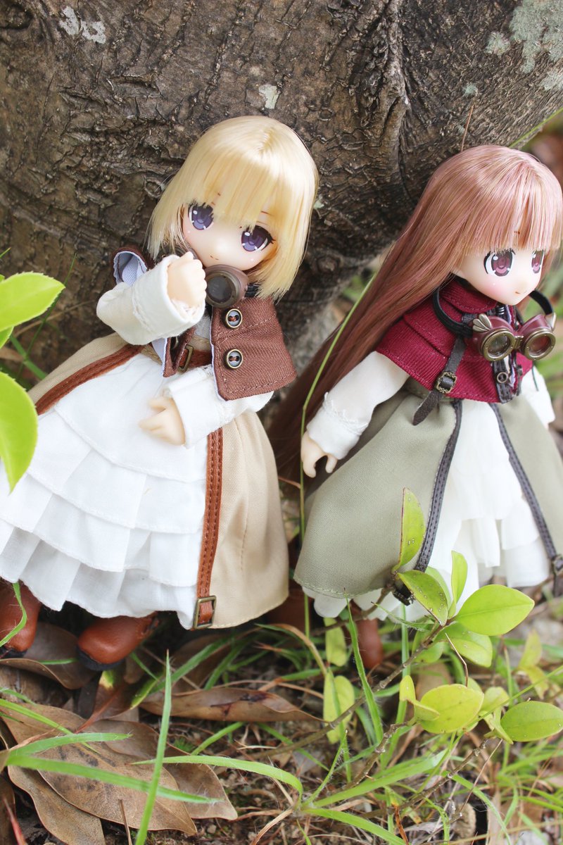 おはようございます☀

早朝にひぐらしが鳴くようになってきました。
私はこの時間が好きなんですが近年暑過ぎて蝉も出てこなくてなりつつあります…

#アゾカツ  #LilFairy