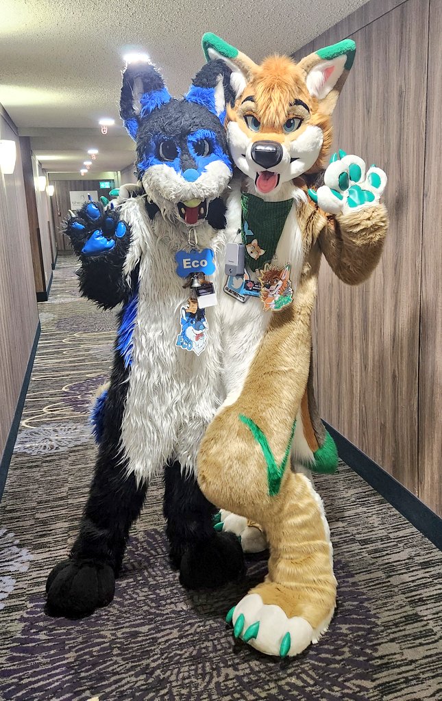 AuroraWusky69's tweet image. Fureh 2025 has been such a blast so far, and im loving every little bit of it
Heres a picture I got with
@JaxTheCoyote . He was so nice to chat with